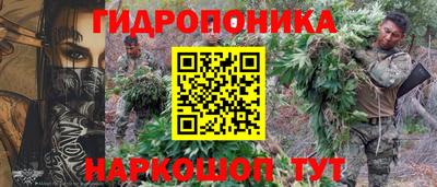 мяу мяу мука Пенза